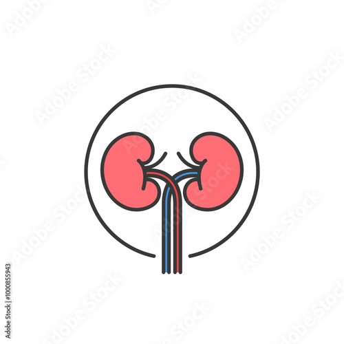 This icon depicts a pair of human kidneys connected by blood vessels, representing the renal system. It is relevant for medical and pharmacy contexts, highlighting kidney health and function.