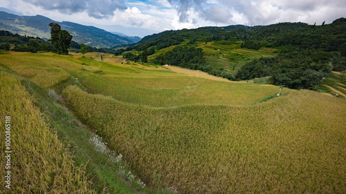 Landscape with green and yellow rice terraced fields and cloudy sky in Yunnan, South China photo