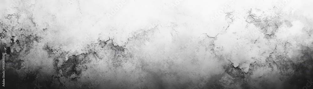 Fototapeta premium Captivating Black and White Wallpaper with Solid Background