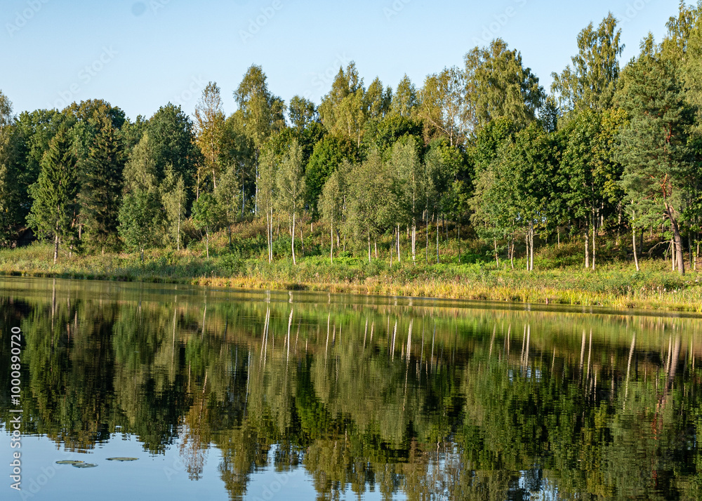 beautiful landscape with a small forest lake, pure lake in the evening light, calm summer beautiful landscape with a small forest lake, pure lake in the evening light, calm summer