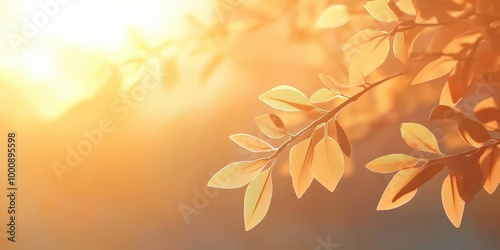 Wallpaper Mural Soft Blurred Leaves in Gentle Light Torontodigital.ca