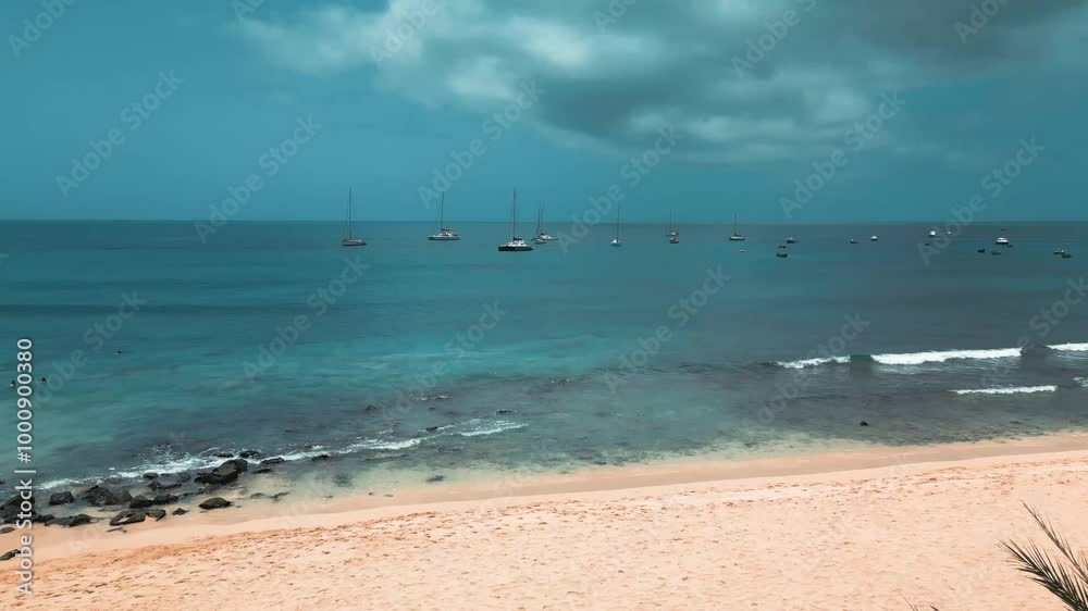 Cinematic 4k video of seascape from a palm forest to the sea, Cape Verde, Africa Cinematic 4k video of seascape from a palm forest to the sea, Cape Verde, Africa