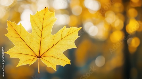 Vibrant Yellow Leaf in Autumn Background