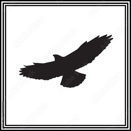 A flying bird vector illustration