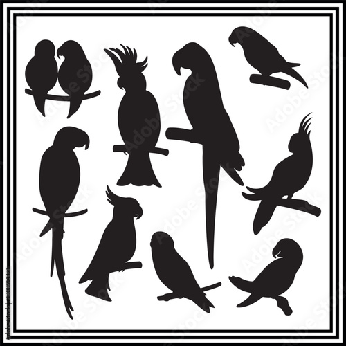 Big set of parrot silhouette illustration isolated on white background