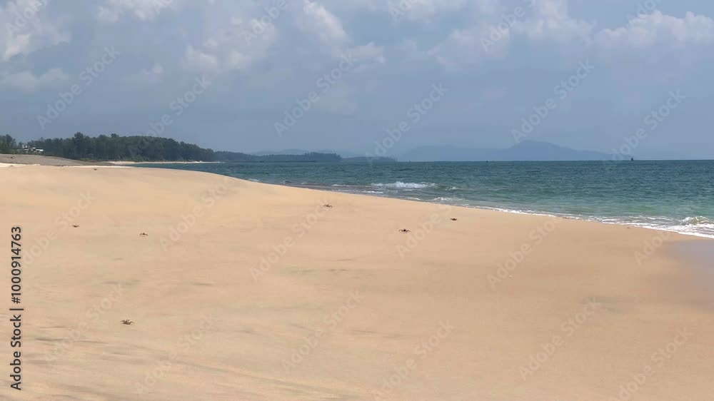 Crabs walking along sandy beach of ocean or sea. Crabs walking along sandy beach of ocean or sea.