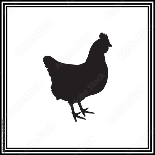 Chicken vector silhouette on white background