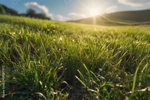 Realistic outdoor green grass ground field mountain hill public park and cloud and blue sky background with blur background in concept of freshness, growth, environment ecology and sustainablility