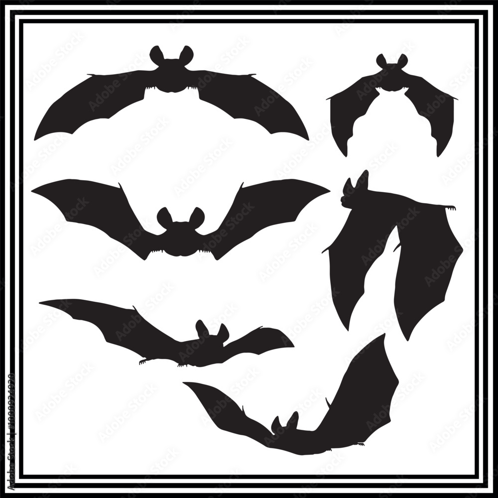 Bat silhouette set, animal silhouette. Bat silhouette set, animal silhouette.