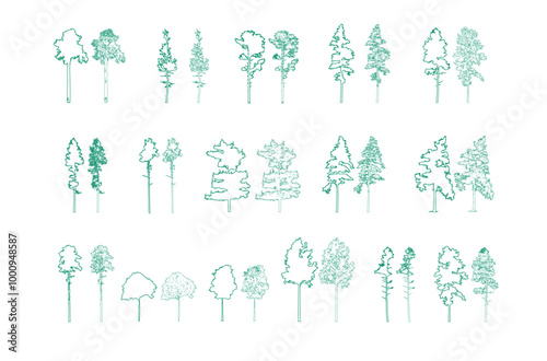 Minimal style cad tree line drawing, Side view, set of graphics trees elements outline symbol for architecture and landscape design drawing. Vector illustration in stroke fill in white. Tropical