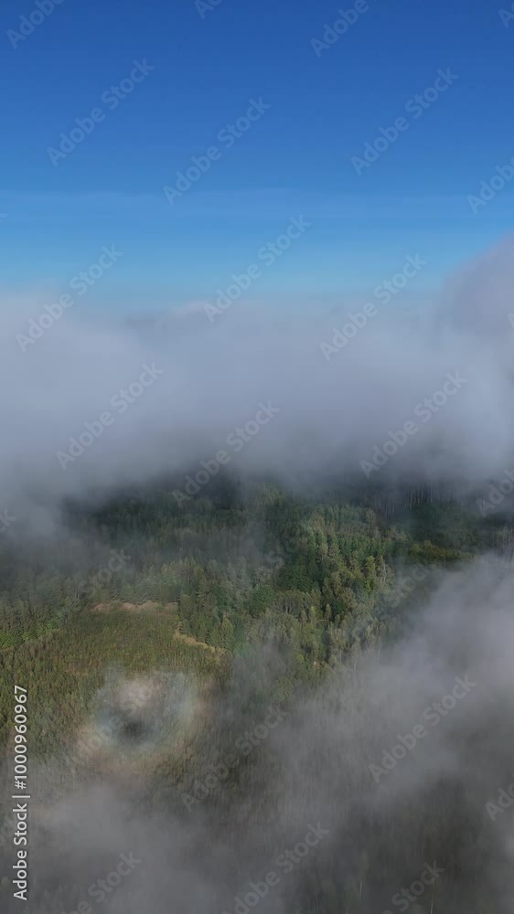 Aerial view of a forest landscape hidden beneath low clouds in Lithuania. Drone captures a misty forest landscape partially covered by low clouds on a clear day.