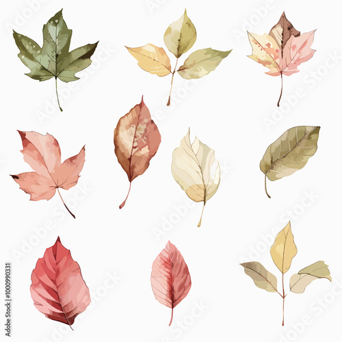 Various fallen leaves, autumn fruits, autumn leaves, autumn, fallen leaves