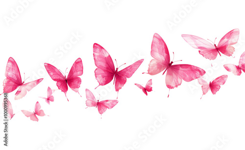 Beautiful pink butterflies