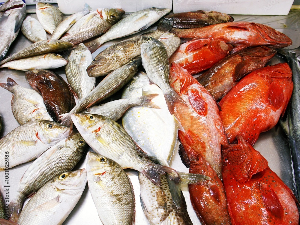 fresh fish at the market fresh fish at the market