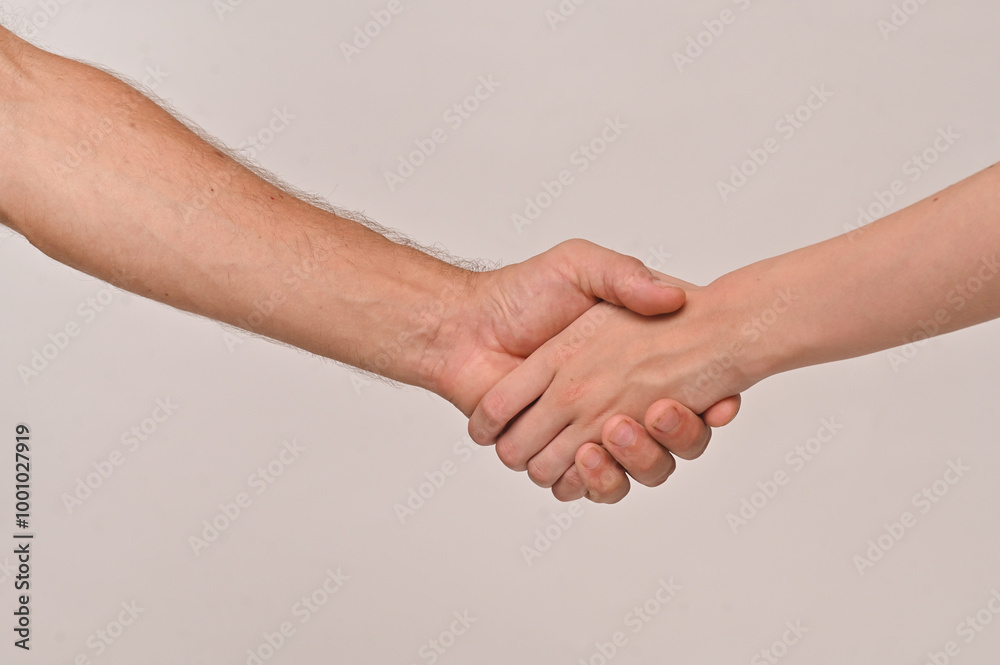 handshake of a man's and a woman's hand on a white background handshake of a man's and a woman's hand on a white background