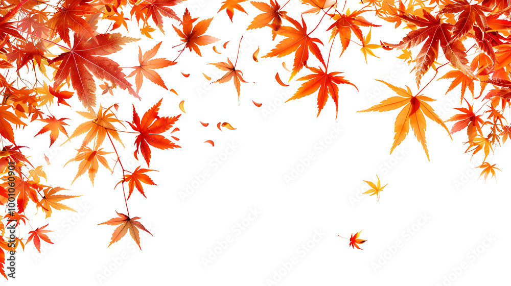 Set of multicolored autumn leaves isolated on white background Set of multicolored autumn leaves isolated on white background