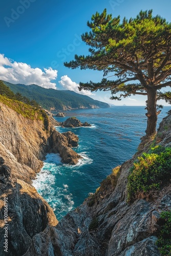 Scenic coastal landscape with pine tree and rocky cliffs