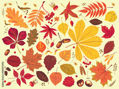Vector set of autumn falling leaves, seeds, acorns, nuts. Fall season elements perfect for scrapbook, card, poster, invitation, sticker kit. Handmade drawing vector realistic illustrations isolated.