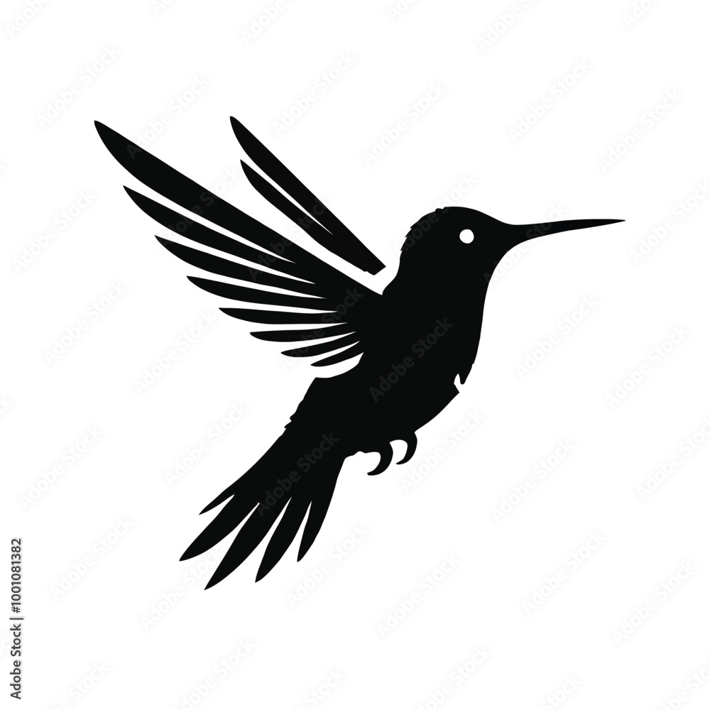 Obraz premium Hummingbird Flight