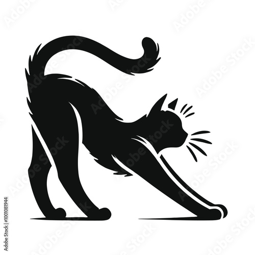 Cat Stretching