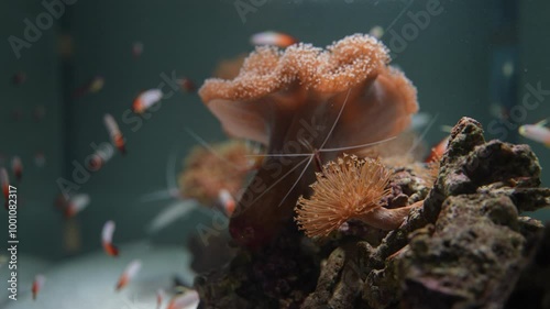 水族館