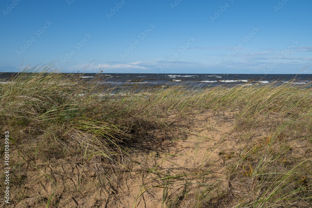 Natural landscape from the sea on a windy day. Natural landscape from the sea on a windy day.