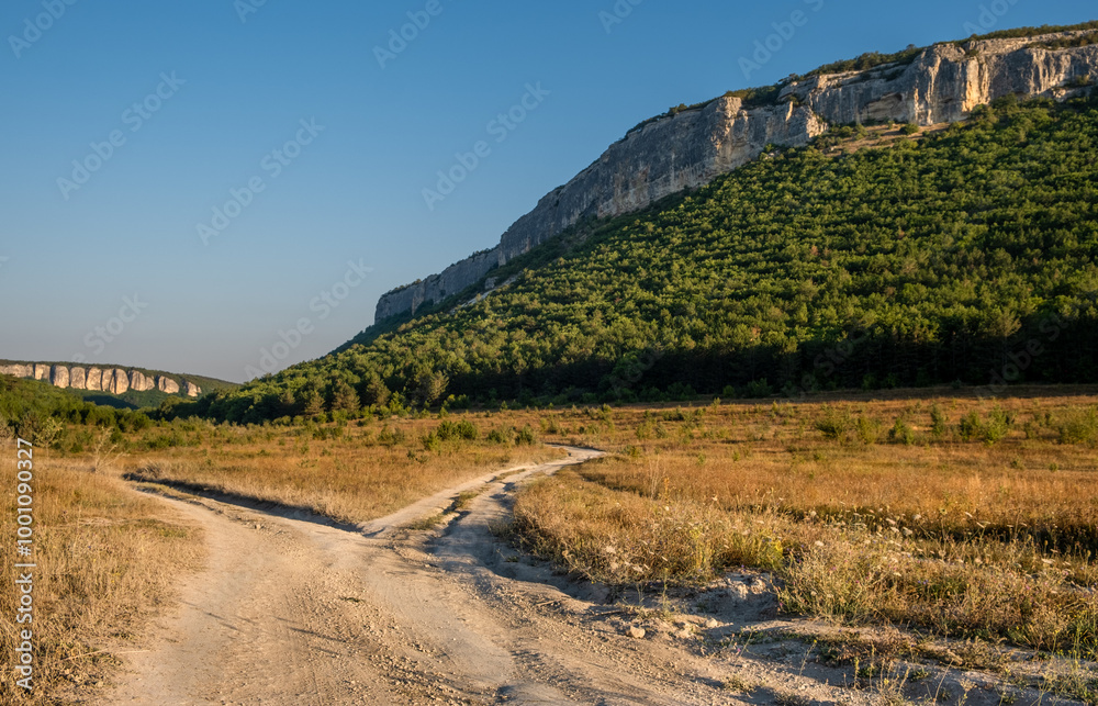 Naklejka premium A dirt road with a fork near the mountains on a summer day.