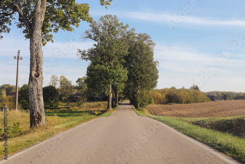 Asphalt road through field, meadow and forest. Beautiful summer landscape with trees along the roadside. Concept of a journey into the unknown. Scenic countryside background. Sunny day car trip.