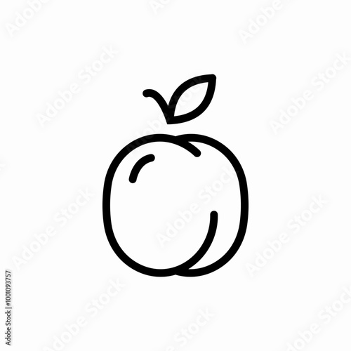 apricot fruit icon sign vector