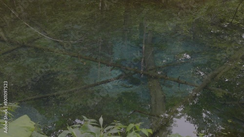 池