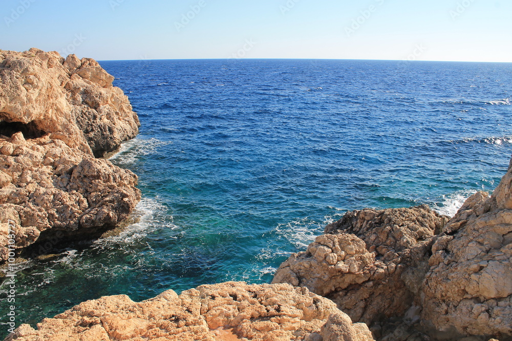 coral reef in the sea coral reef in the sea