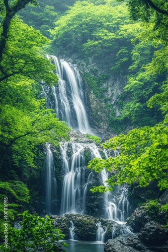 Majestic waterfall in lush green forest