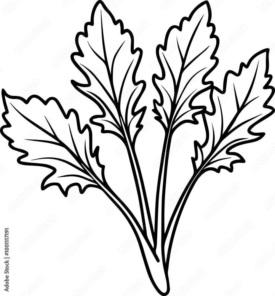 arugula leaves outline coloring book page line art vector illustration