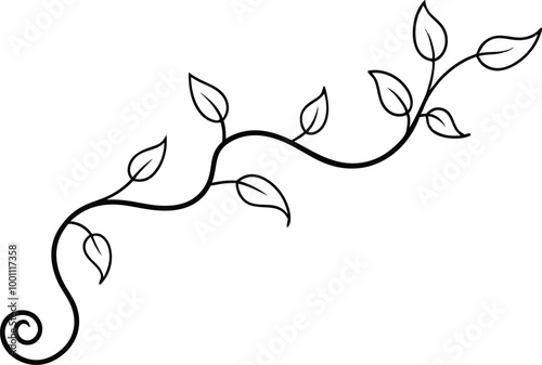 Spiraling Vine With Lush Leaves Vector Design for Nature Lovers and Garden Enthusiasts
