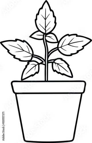 fresh holy basil plant thriving in modern pot vector design for home decor enthusiasts

