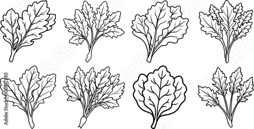set of arugula leaves outline coloring book page line art vector illustration