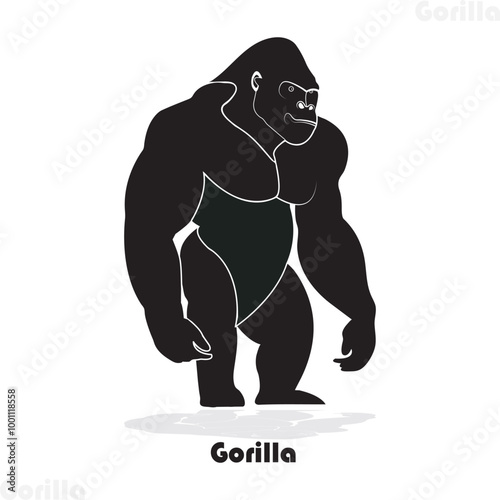 Gorilla, (genus Gorilla), genus of primates containing the largest of the apes. The gorilla is one of the closest living relatives to humans; both groups last shared a co
