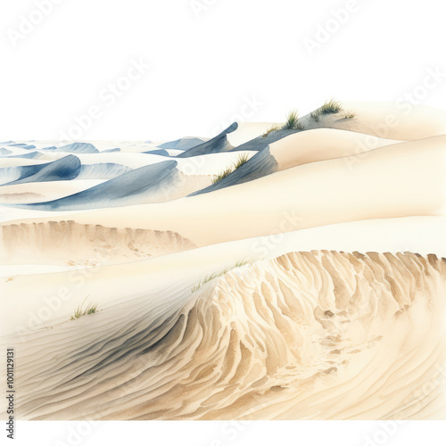 Watercolor painting of dune with white background