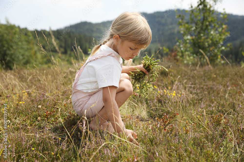 Fototapeta premium Cute little girl picking flowers at meadow. Child enjoying beautiful nature