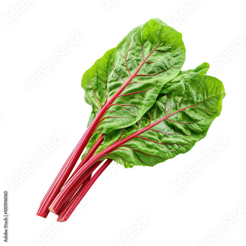Fresh Swiss chard leaves with vibrant red stems