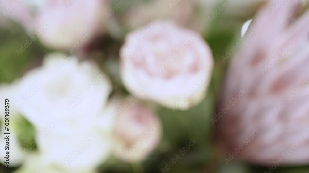 Beautiful Girl Playing with Flowers in Flower Shop Beautiful Girl Playing with Flowers in Flower Shop