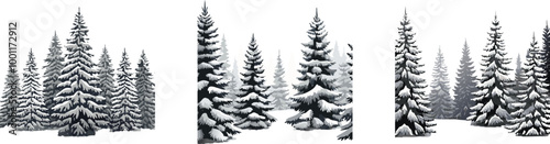 Snow Covered Spruce Trees Collection. Set of Christmas Trees in Snow Isolated Transparent Background. Winter Trees
