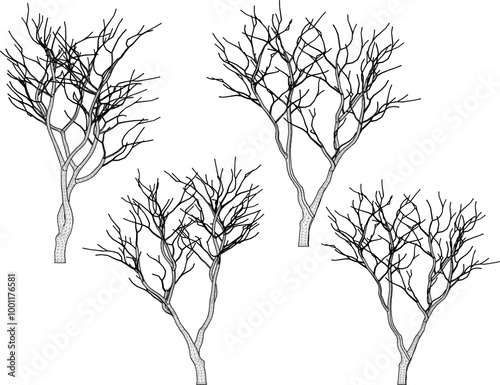 Vector sketch illustration silhouette design of tree plant full of branches without leaves