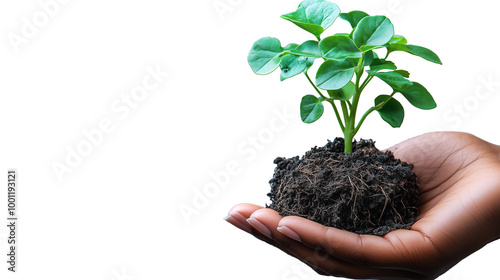 Nature's Hand