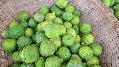 Close up photo of unripe kaffir lime or makrut lime fruit (Citrus hystrix) that still young and green. It has many uses, can make food, produce herbal medicine, health products. photo