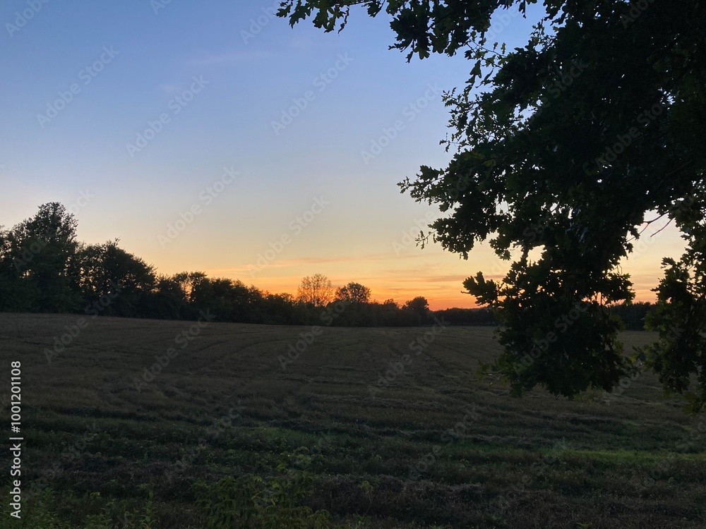 Obraz premium sunset over a meadow