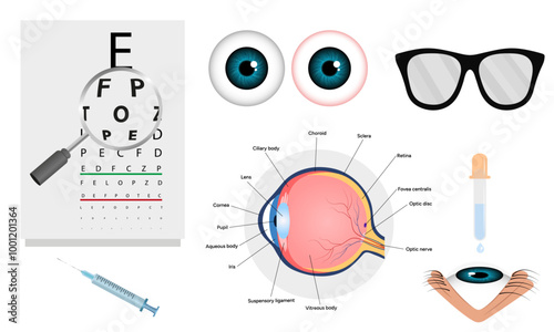 Ophthalmology oculist set vision correction eye anatomy with exam table 
