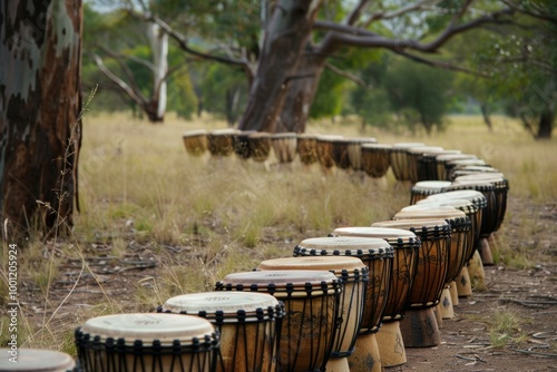 Long line of djembe drums are standing in the grass outdoors ready to be played photo