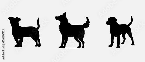 Dog silhouette collection vector. Dog in various poses and activities like jumping, sitting, running, playing, and standing. Silhouette black puppies, pet dog vector