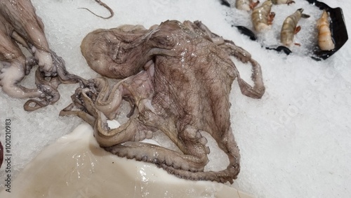 Large octopus with long tentacles at the center, surrounded by shrimp and fish slices.